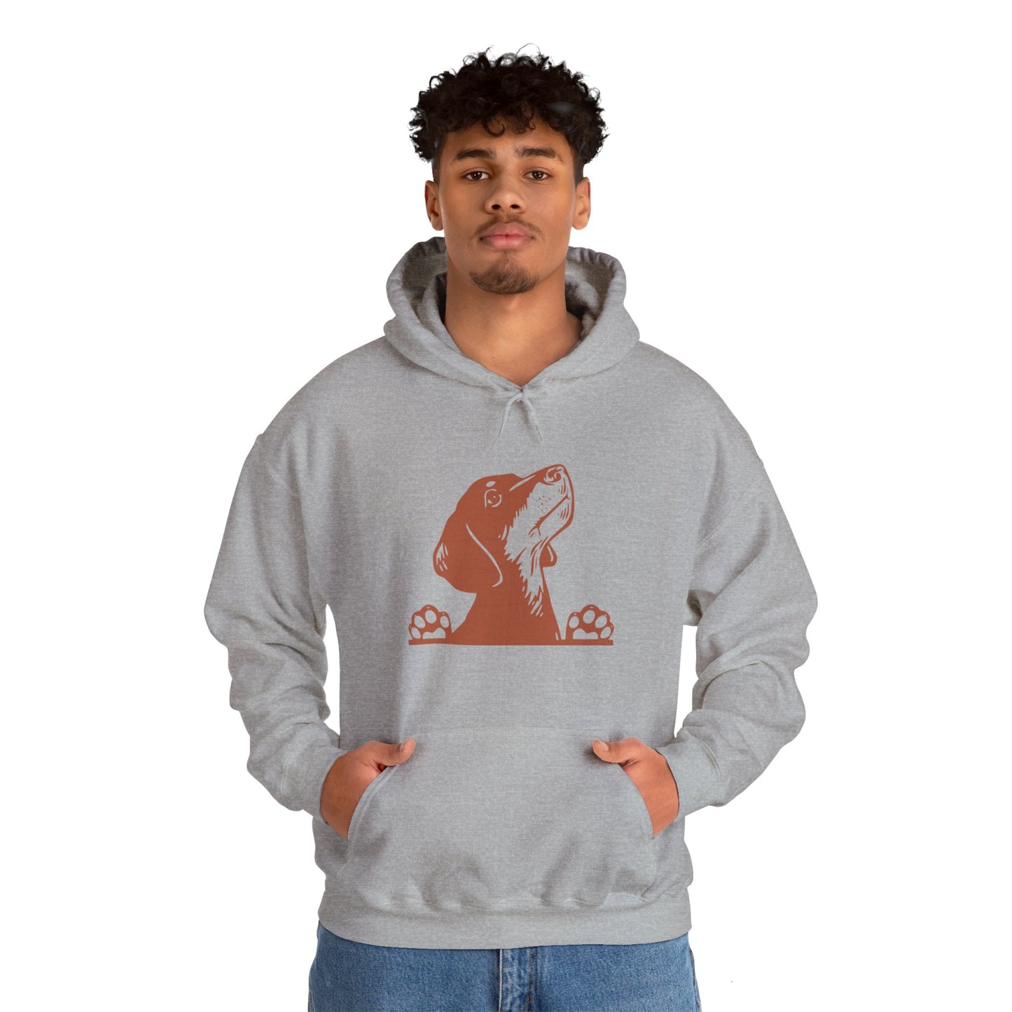 Dachshund Looking Hooded Sweatshirt