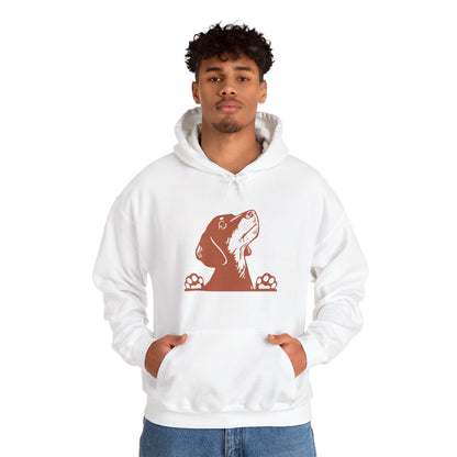 Dachshund Looking Hooded Sweatshirt