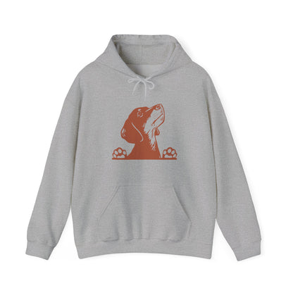 Dachshund Looking Hooded Sweatshirt