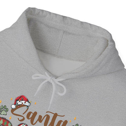 Santa Paws Christmas Hoodie