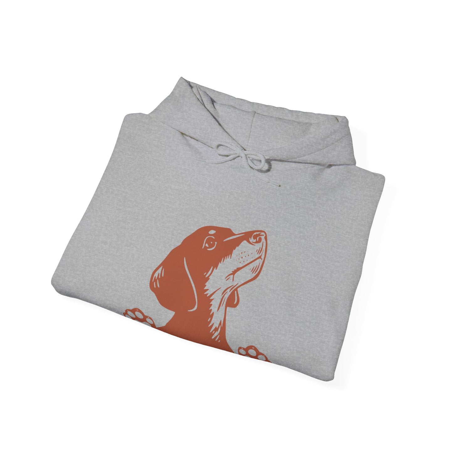 Dachshund Looking Hooded Sweatshirt