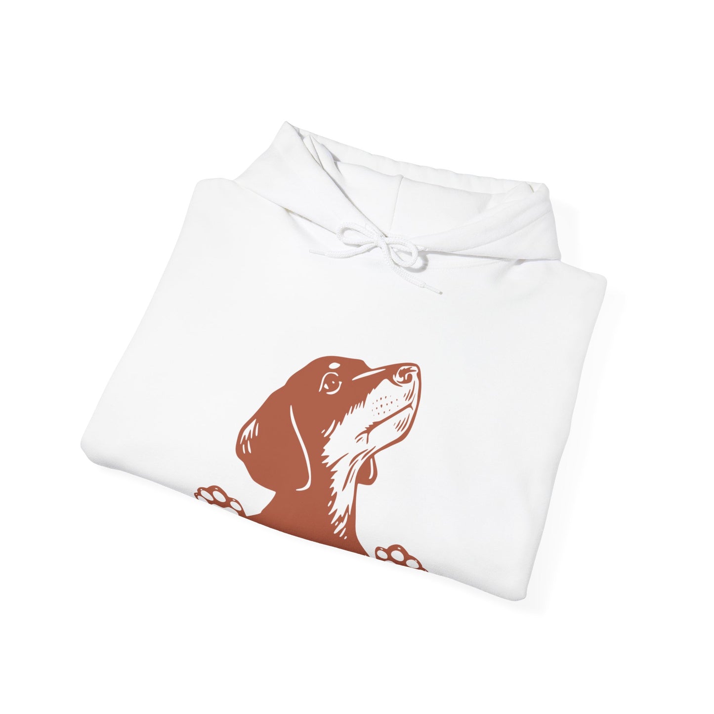 Dachshund Looking Hooded Sweatshirt